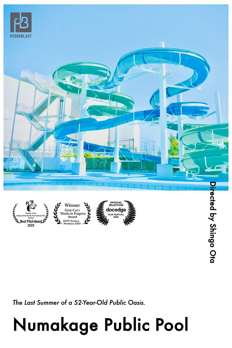 poster image