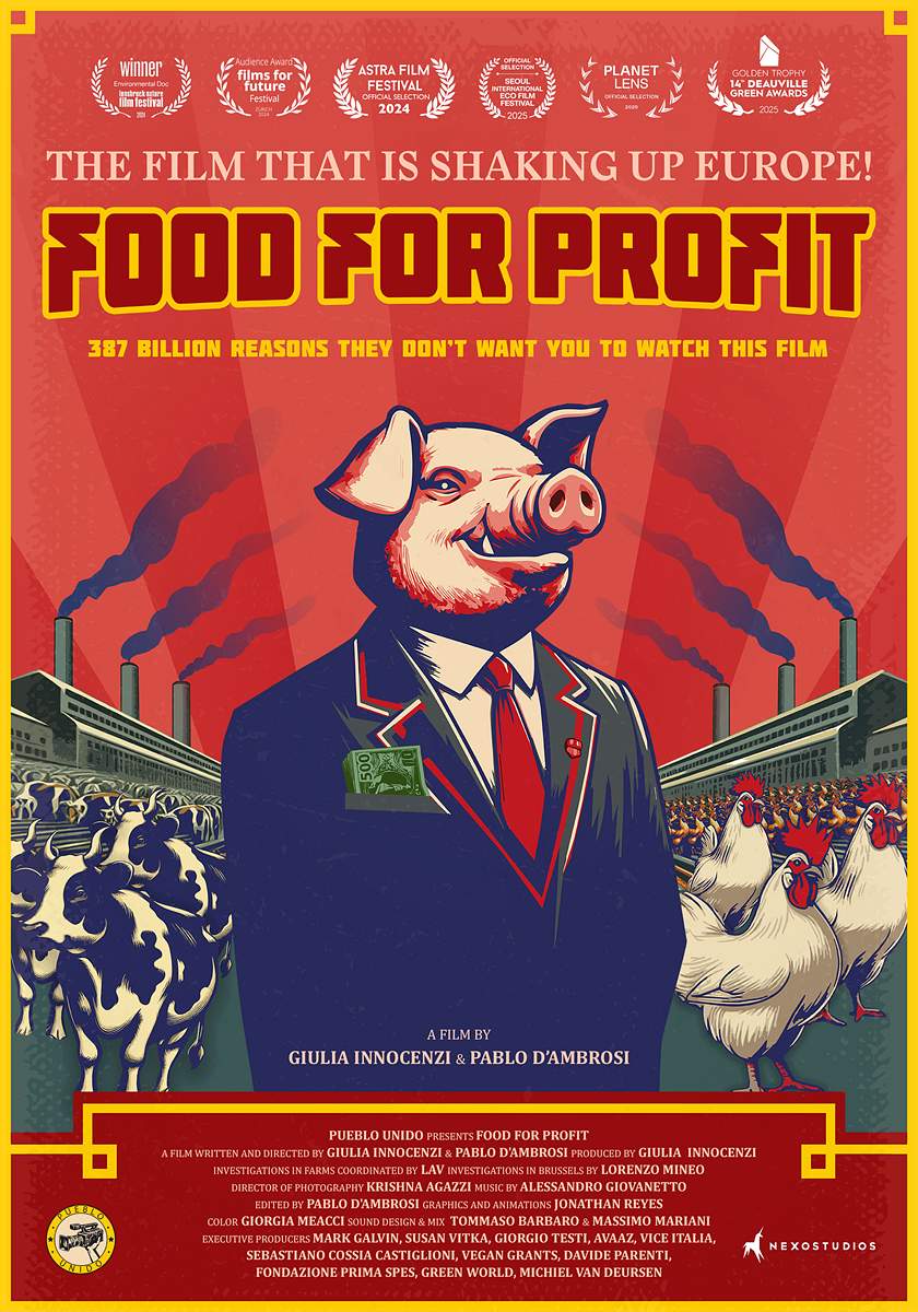 poster image