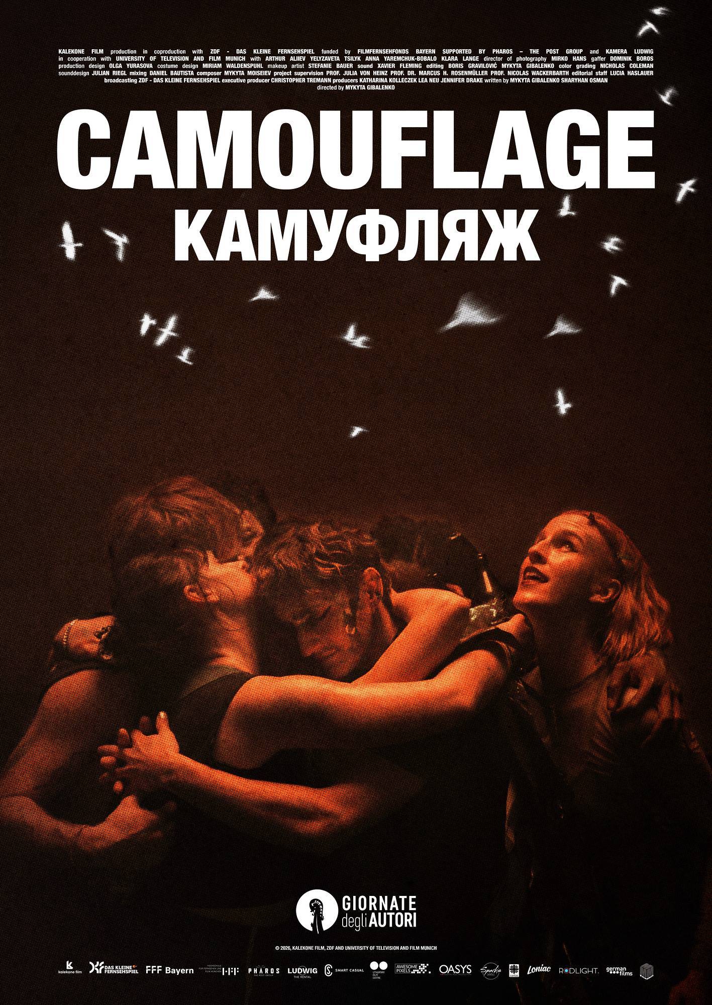 poster image
