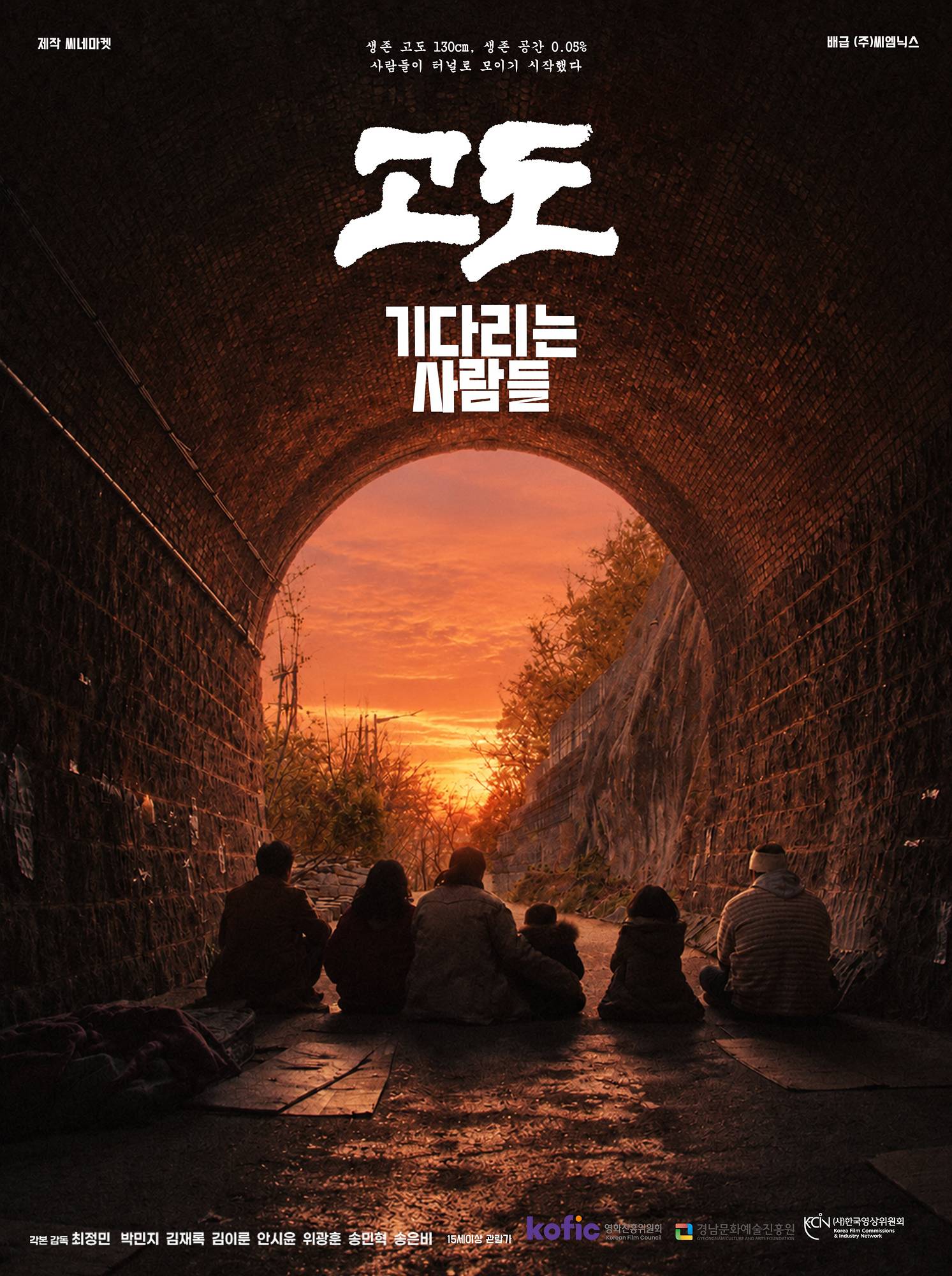 poster image